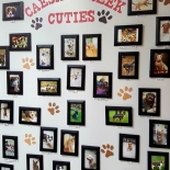 Our cutie wall